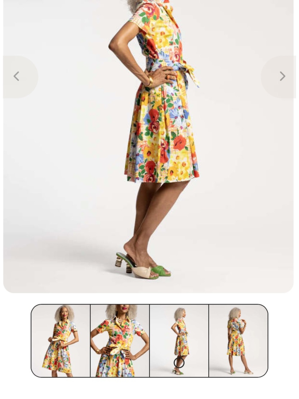 Frances Valentine Bella Dress - Picnic Print - Picture 6 of 7